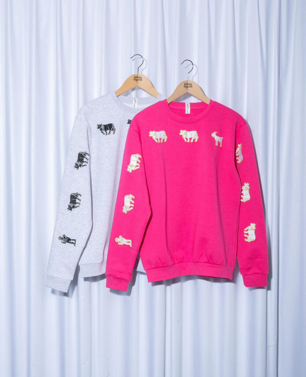 Appenzeller Sweater grau und pink | Collab mit Julian Zigerli