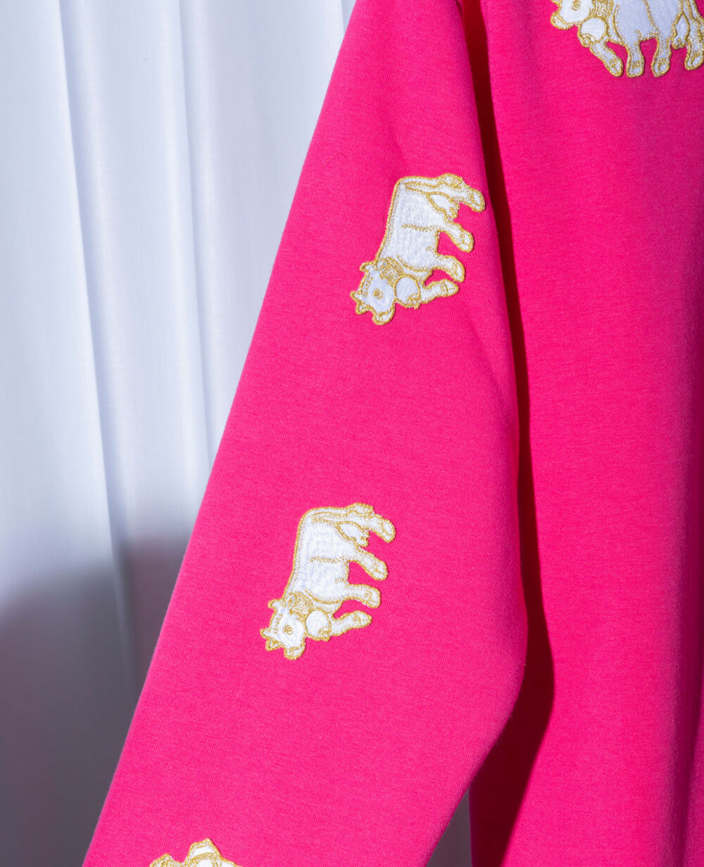 Details Appenzeller Sweater pink | Collab with Julian Zigerli
