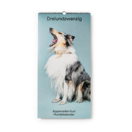 Couverture du calendrier pour chiens d'Appenzell