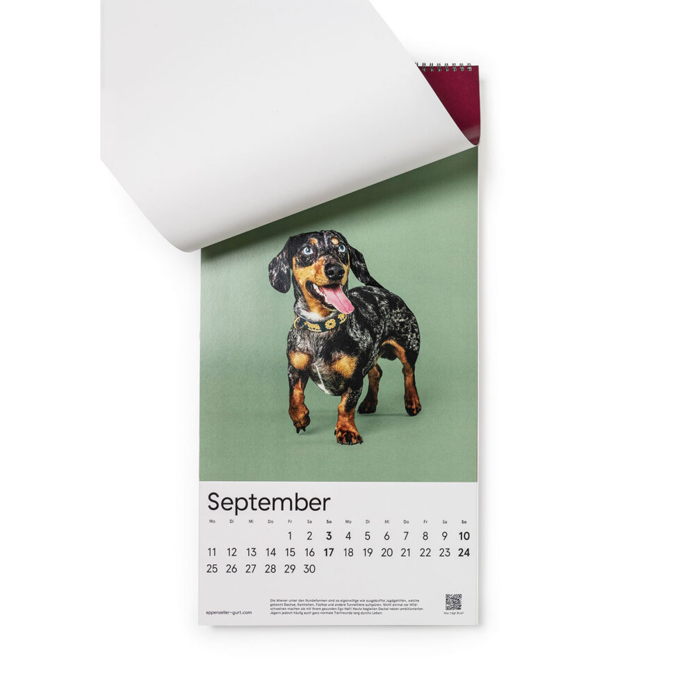 Appenzell dog calendar September